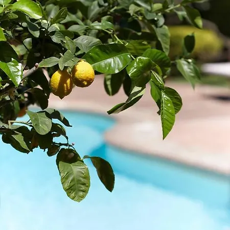 Country house Il Roseto